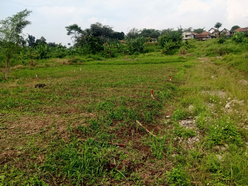 jual tanah kavling